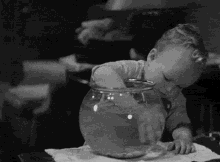 GIF tí Funnygirl gbé sókè
