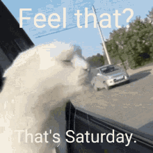 GIF آپلود شده توسط Leon Allen