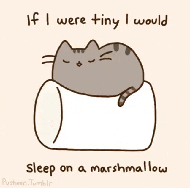 Goodnight Tumblr!