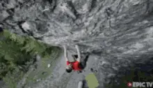 Free Solo Alex Honnold