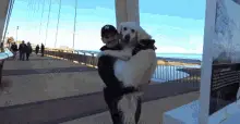 Carrying Bailey