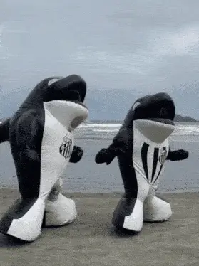 Santos FC Whale Mascots on Brazilian Beach