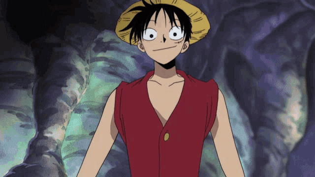 Luffy's Wide-Eyed Surprise in One Piece