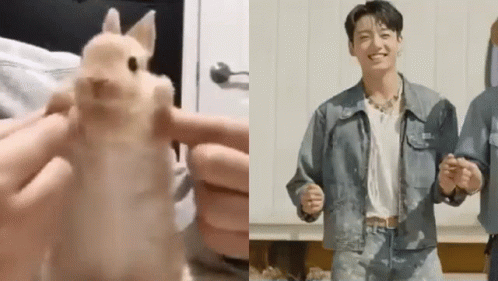 Jungkook's Adorable Bunny Moment