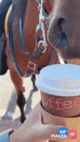 Coffee Coffee Cup