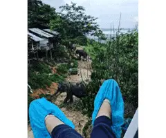 Disposable Boot Covers