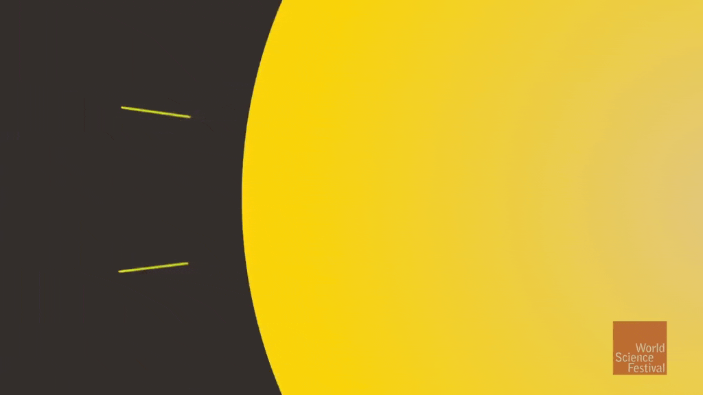 Observing Black Holes with the Event Horizon Telescope