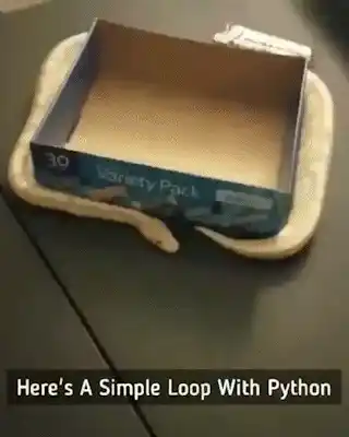 A Simple Loop With Python