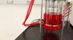 Bubbling bioreactor