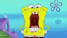 Spongebob Shocked