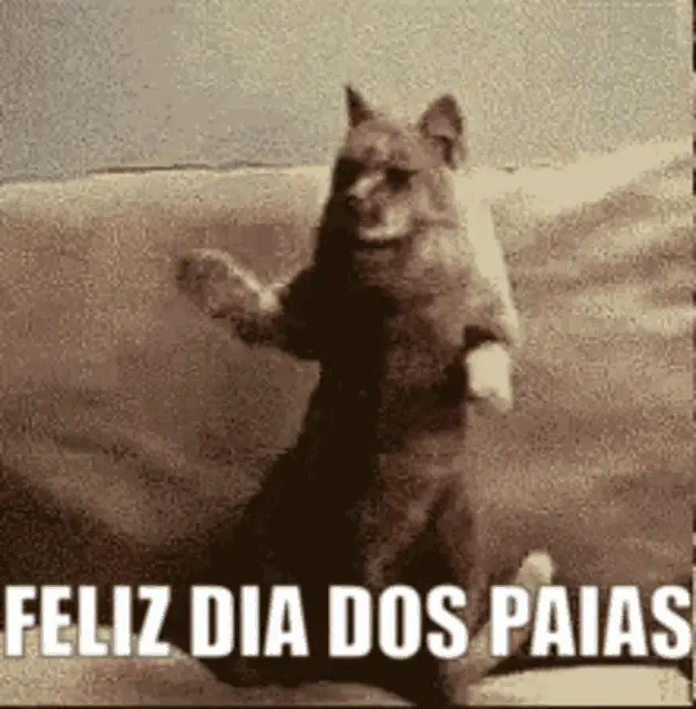 Feliz Dia Dos Paias
