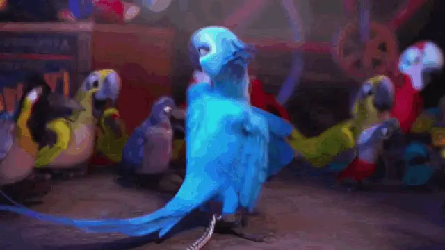 Rio Jewel Dancing