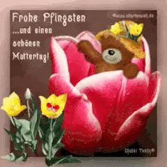 hallo wie geht es dir photo:  10120.gif