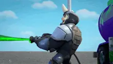Rhino Rhinoceros