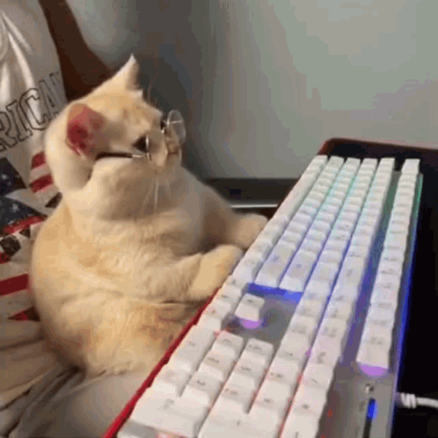 Gaming Cat with Glasses at Keyboard