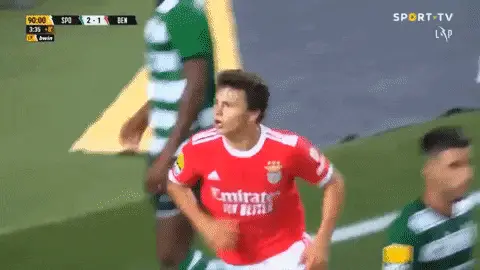 João Neves Celebrates for Benfica