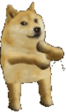 GIF enviado por Paola