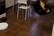 GIF
