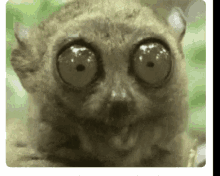 GIF uploaded by A༗🂡🃏⏳⭐