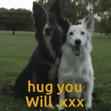 Hug Willx