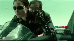 Post a gif/image of your current mood (Page 48 of 242) | Nolan Fans Forums