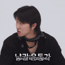 GIF 이미지