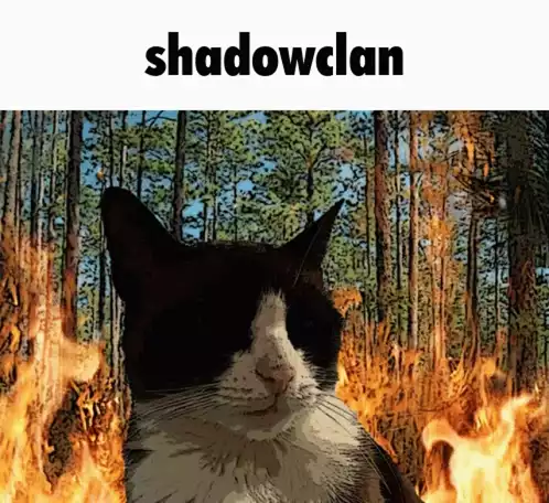 Shadowclan Warrior Cat in Forest Fire
