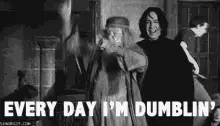 Harrypotter Dumbledore