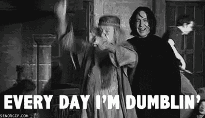 Harry Potter: Every Day I'm Dumblin' Meme