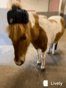 Pony Hat