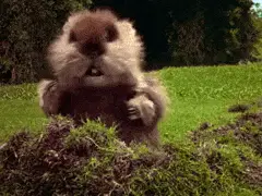 Caddyshack - Dancing gopher shortest