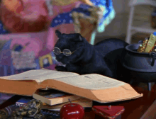 GIF הועלה על ידי Emily