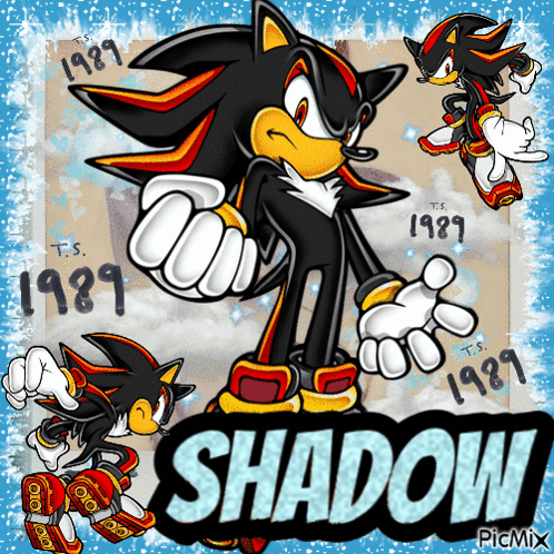 Shadow the Hedgehog with Taylor Swift 1989