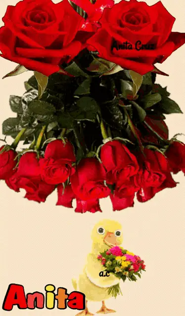 Rosas Rojas con Anita Cruz