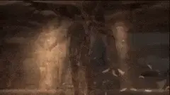Metal Gear Solid 4 - Raging Raven