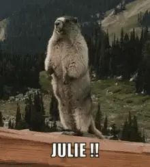 Juliiie Julie
