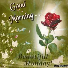 Good Morning Beautiful