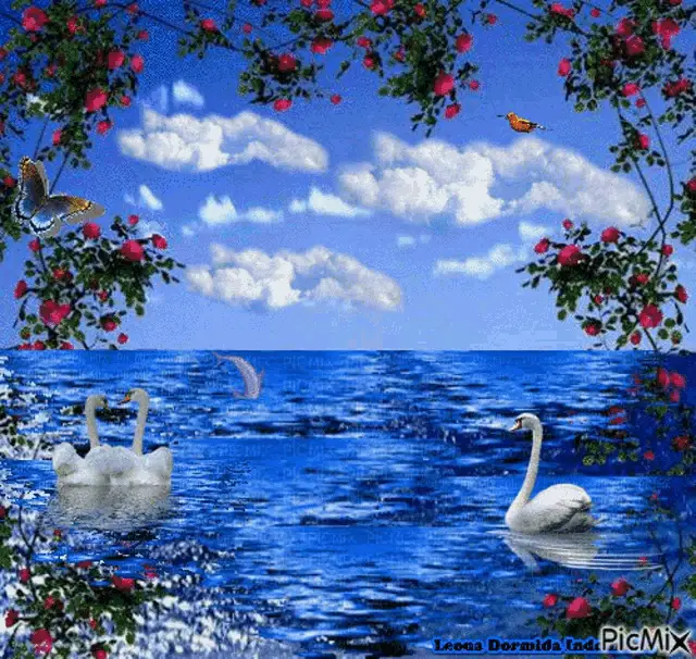 Animated Nature Scene with Swans and Heart