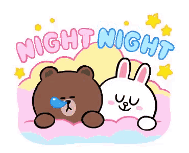 Brown & Cony: Night Night Sleep