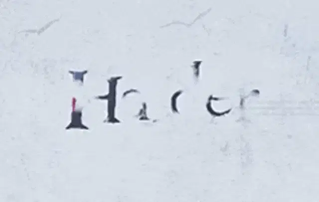 "His Every Identity Is A Ghost Identity" - Haider