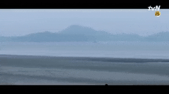 GIF 이미지