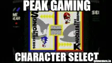 Sonic The Hedgehog Knuckles The Echidna