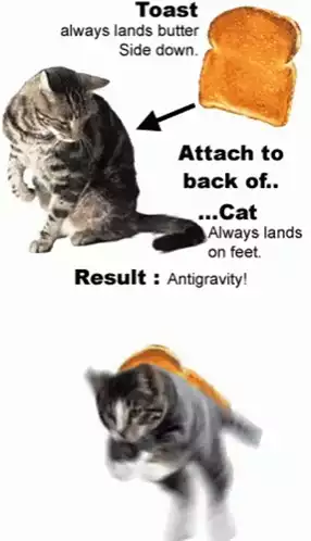 Cat with Anti-Gravity Toast