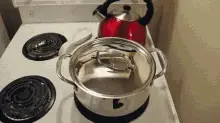 Cat Happy