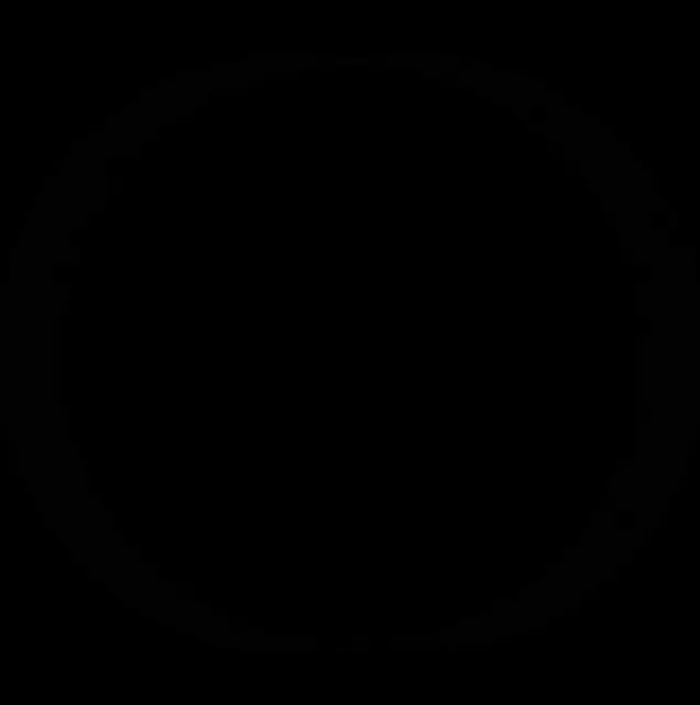 S.C. Internacional Logo Animation