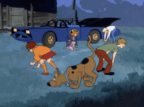 Scooby-Doo and Mystery Inc. Search for Clues