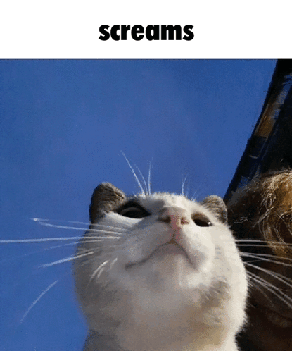 LNDqRe9g.gif