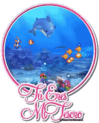 Delfin Amor