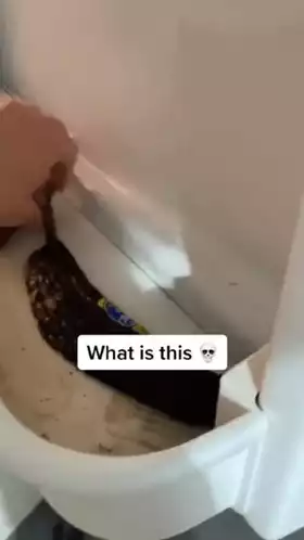 Gross Banana Discovery: What Is This?