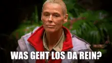 Ich Bin Ein Star Holt Mich Hier Raus